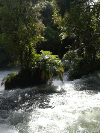 NZ Okere Falls