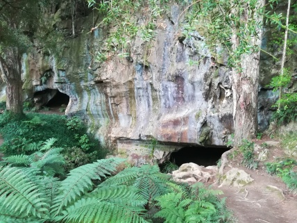 NZ Eingang Waipu Cave